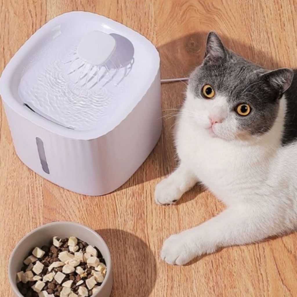 Bebedouro Automático com Filtro – Água Limpa e Contínua para Seu Pet