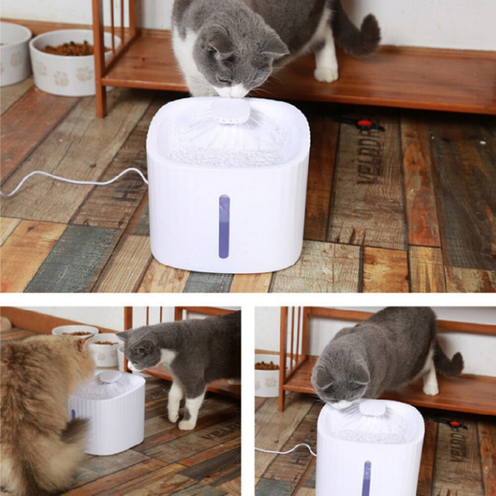 Bebedouro Automático com Filtro – Água Limpa e Contínua para Seu Pet