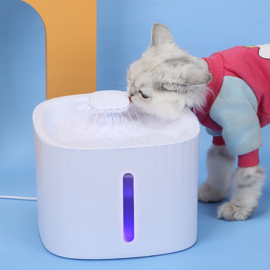 Bebedouro Automático com Filtro – Água Limpa e Contínua para Seu Pet