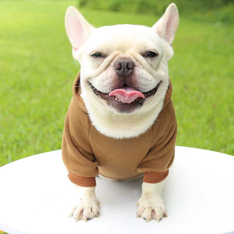Roupa de Cachorro Moletom com Capuz – Quentinha e Estilosa